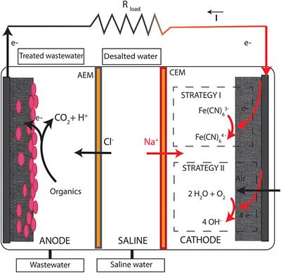 Comparative Performance of Microbial Desalination Cells Using Air Diffusion and Liquid Cathode Reactions: Study of the Salt Removal and Desalination Efficiency